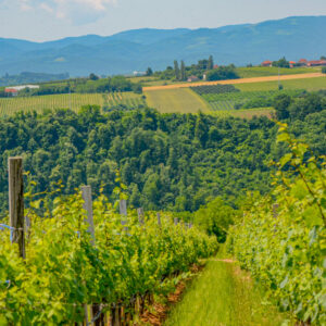 07/10/2024 : Groepsreis Kroatië en Bosnië met Vlaamse wijnbegeleider