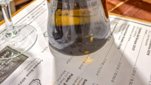 Wijnbar Zaragoza - onze top 3 favoriete wijnbars