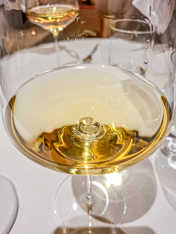 Wijnproeverij Zaragoza - Wijn 1 - Clarion - DO Samontano - Glas