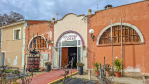 Wijndomein Zaragoza - 5 wijndomeinen om te bezoeken - 16-9