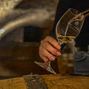 Prestige wijnproeverij bij Meursault, Frankrijk