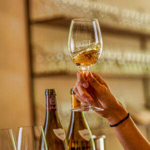 Prestige wijnproeverij bij Meursault, Frankrijk