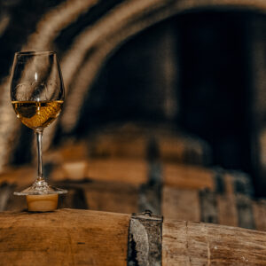 Wijnproeverij Grands Crus wijnen bij Meursault, Frankrijk