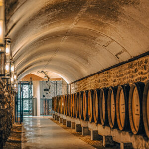 Wijnproeverij Grands Crus wijnen bij Meursault, Frankrijk