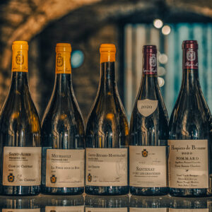 Wijnproeverij Grands Crus wijnen bij Meursault, Frankrijk