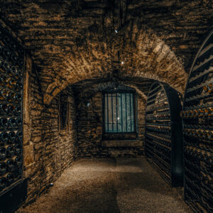 Wijnproeverij Grands Crus wijnen bij Meursault, Frankrijk