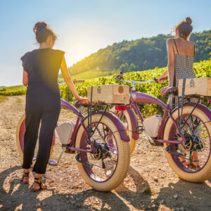 Fietstocht en wijnproeverij bij Meursault, Frankrijk