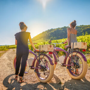 Fietstocht en wijnproeverij bij Meursault, Frankrijk