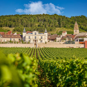 Fietstocht en wijnproeverij bij Meursault, Frankrijk