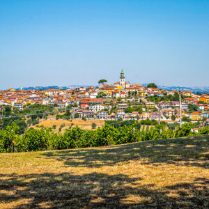 Wijnproeverij met lunch in Irpinia (bij Napels)