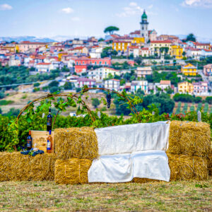 Wijnproeverij met lunch in Irpinia (bij Napels)
