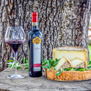 Wijn en kaas proeven in Campania