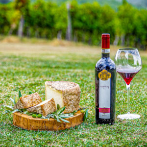 Wijn en kaas proeven in Campania