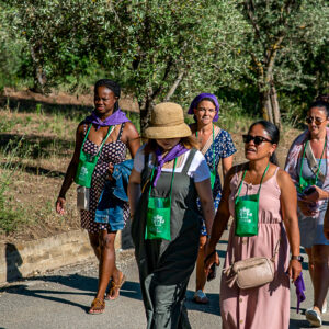 Wijn en lavendel in Campania