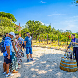 Wijnproeverij met lunch in Irpinia (bij Napels)
