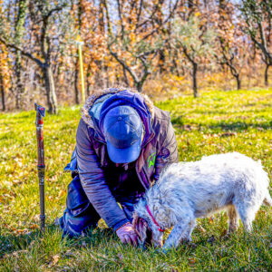 Truffel tocht en wijnproeverij met lunch bij Napels