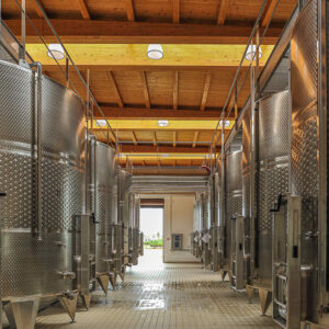 Puglia lunch met typische gerechten op een wijndomein