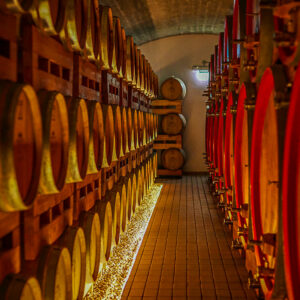 Puglia lunch met typische gerechten op een wijndomein