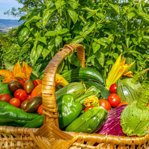 Kookatelier op een wijndomein in Umbria