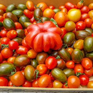 Kookatelier op een wijndomein in Umbria