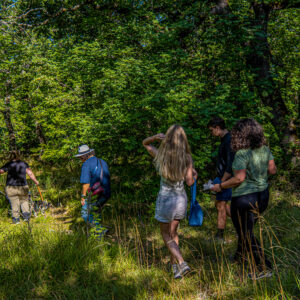 Truffeljacht met truffel lunch in Umbria