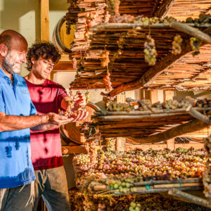 Wijnproeverij met de wijnmaker in Montepulciano, Toscane