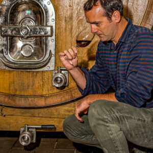 Van wijnkelder tot aan de tafel bij Bologna