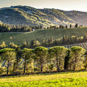 Jeeptocht door de wijngaarden bij Bologna