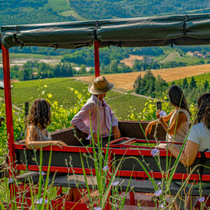 Jeeptocht door de wijngaarden bij Bologna