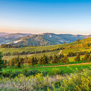 Jeeptocht door de wijngaarden bij Bologna