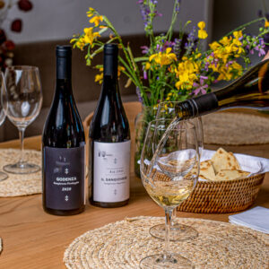 Verticale wijnproeverij bij Bologna