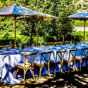 Lunch of diner tussen de wijngaarden bij Bologna