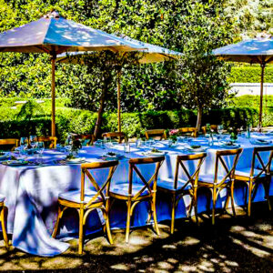 Lunch of diner tussen de wijngaarden bij Bologna